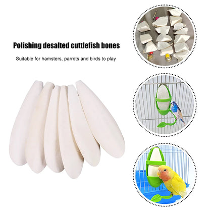 Calcium Cuttlebone Pick Stone
