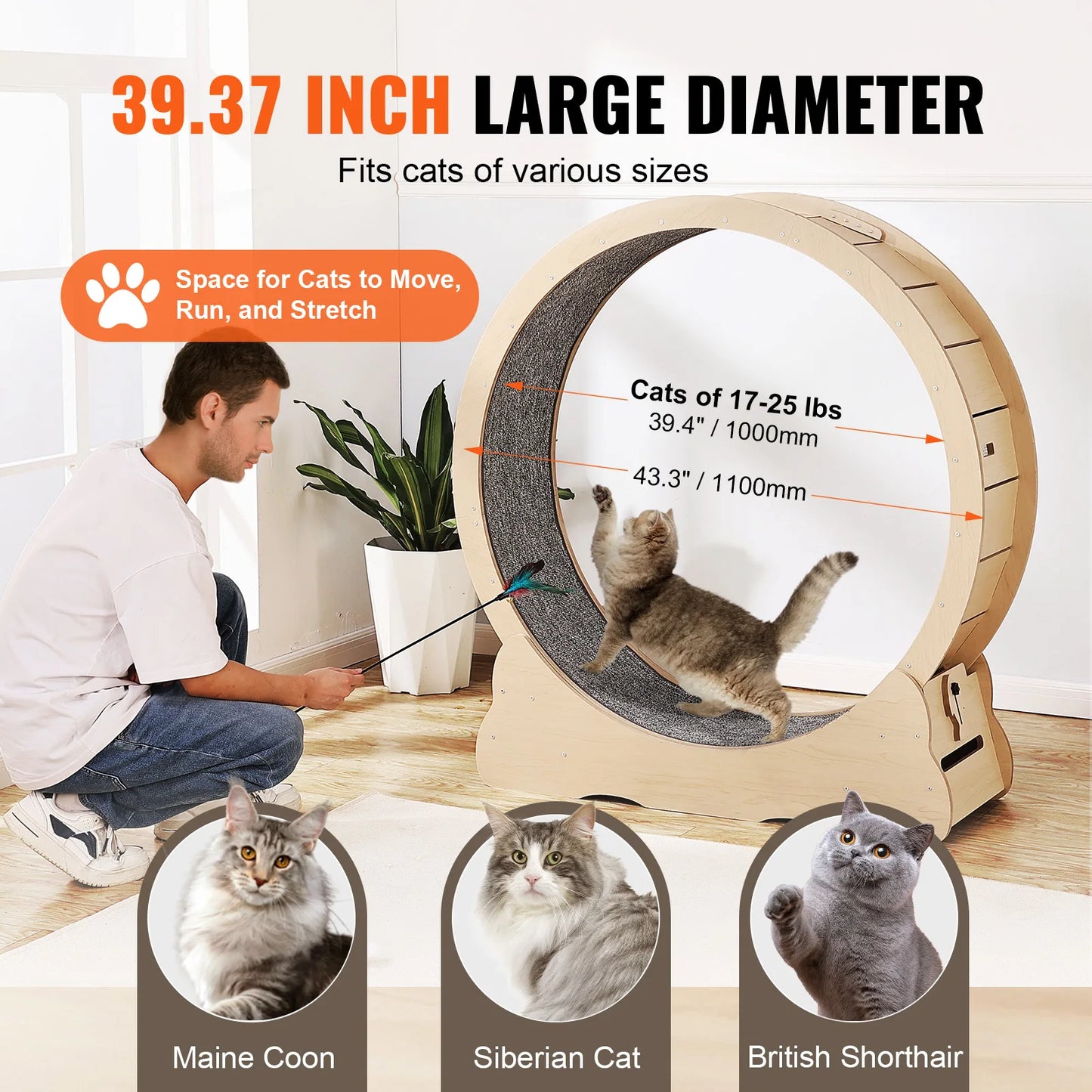 Wooden Cat Exercise Wheel