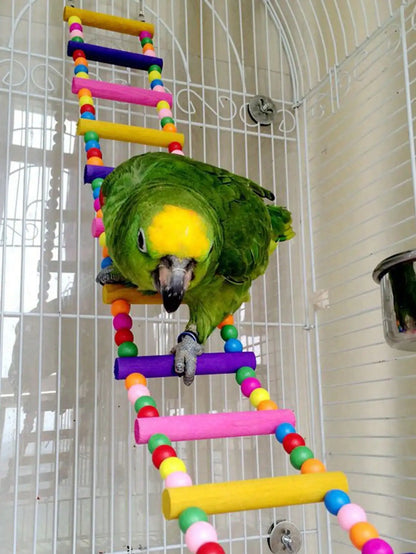 Colorful Wooden Bird Ladder & Swing -