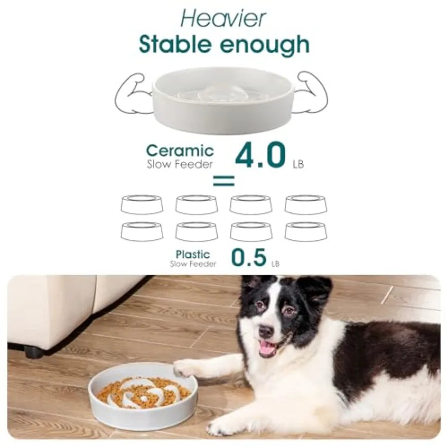 Slow Feeder Dog Bowl, large