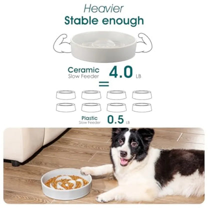Slow Feeder Dog Bowl, large