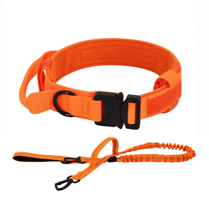 Training Collar Adjustable