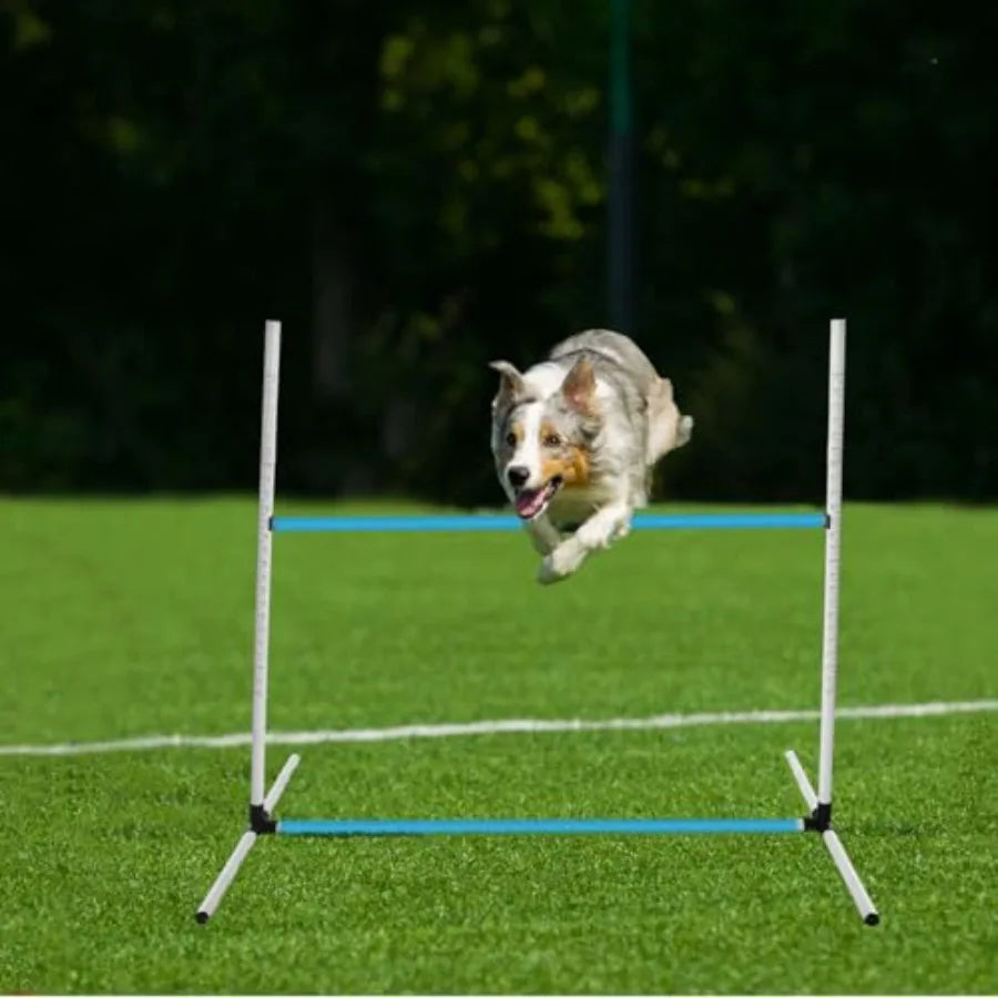 6 Pcs Dog Agility Training Equipment