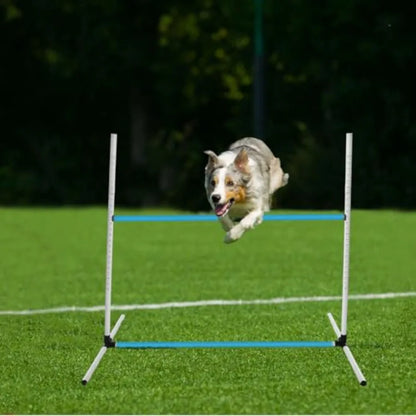 6 Pcs Dog Agility Training Equipment