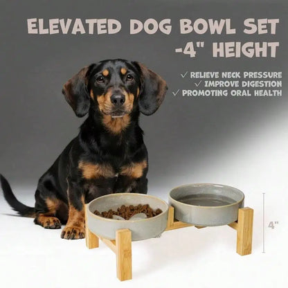 Elevated Slow Feeder Ceramic bowl