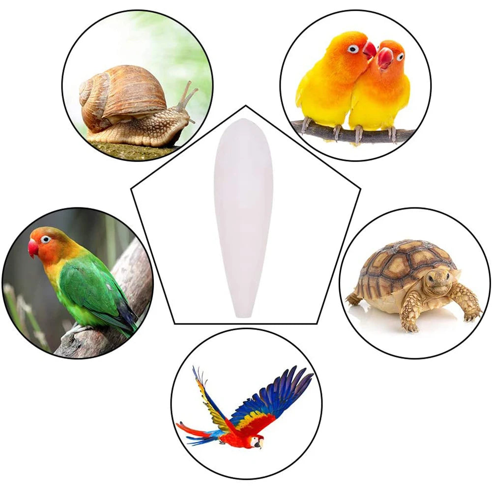 Calcium Cuttlebone Pick Stone