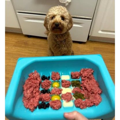 Elevated Slow Feeder Bowls
