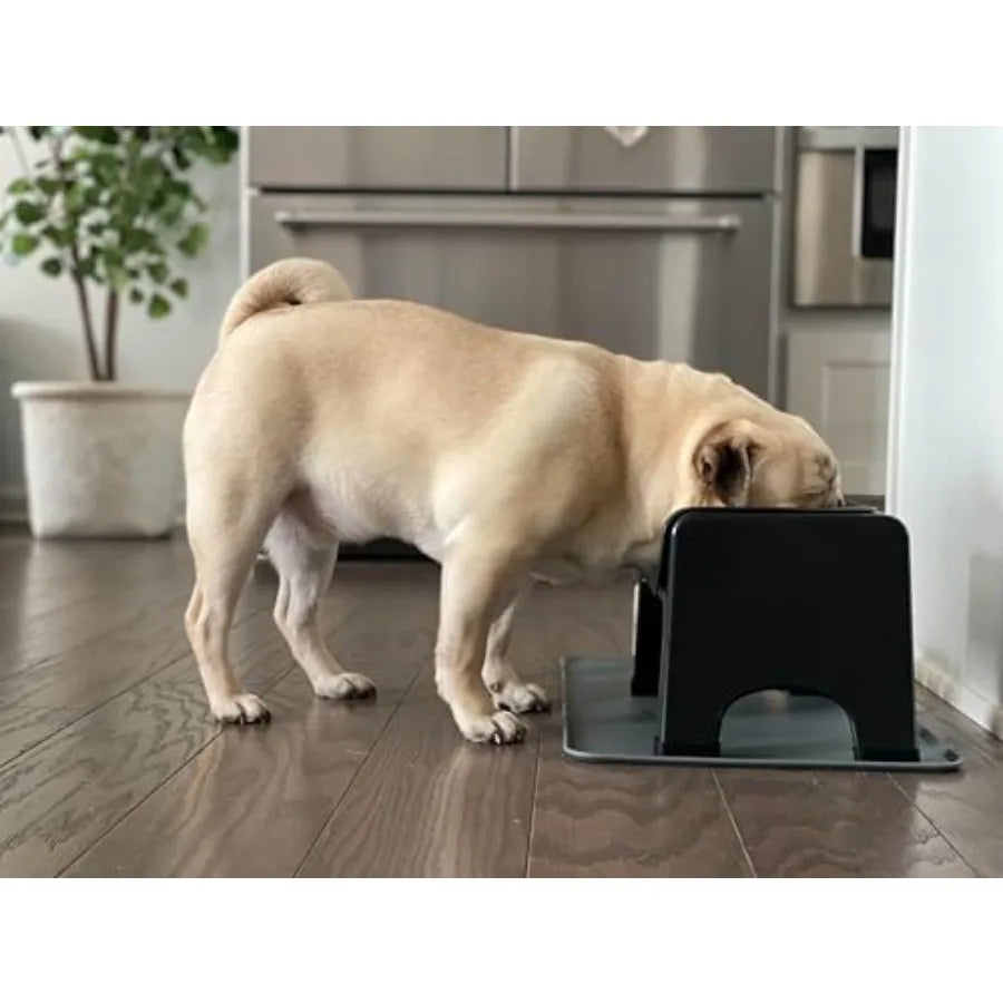 Elevated Dog Bowl