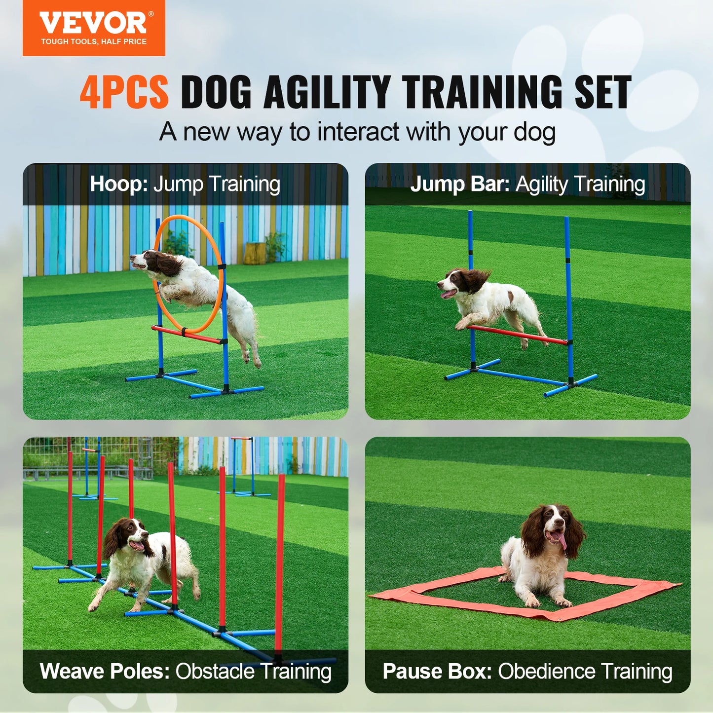 Agility Training Equipment