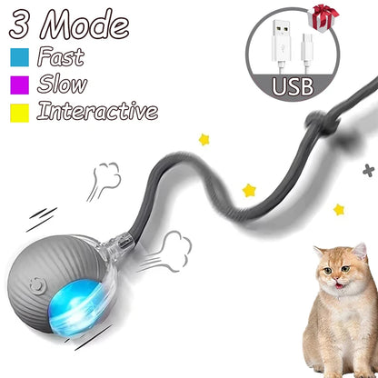 2Pcs Cat Interactive Automatic Rolling Ball