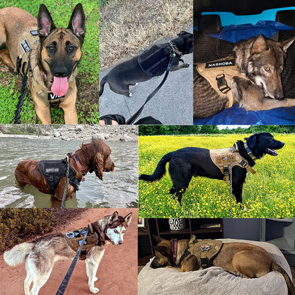 Leash Set Training Walking Vest Dog Harness And Collar