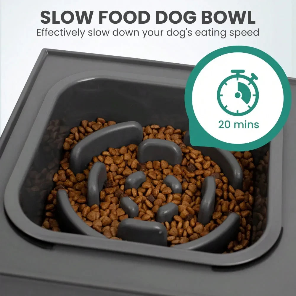 slow feeder Dog Bowl Elevated