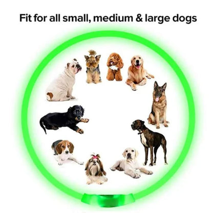 LED Pet Dog Collar for Night Safety | Bright USB Rechargeable
