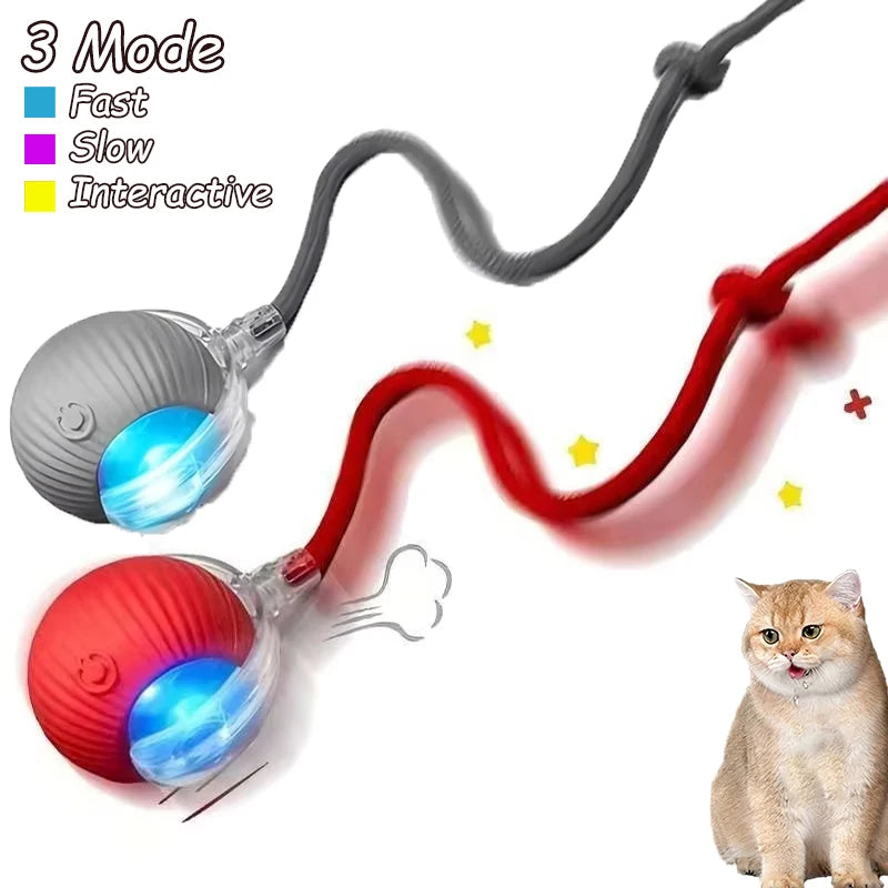 2Pcs Cat Interactive Automatic Rolling Ball