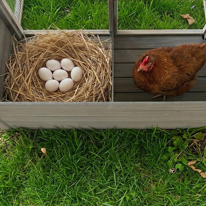 20.93ft² Large Wooden Chicken Coop Outdoor Hen House