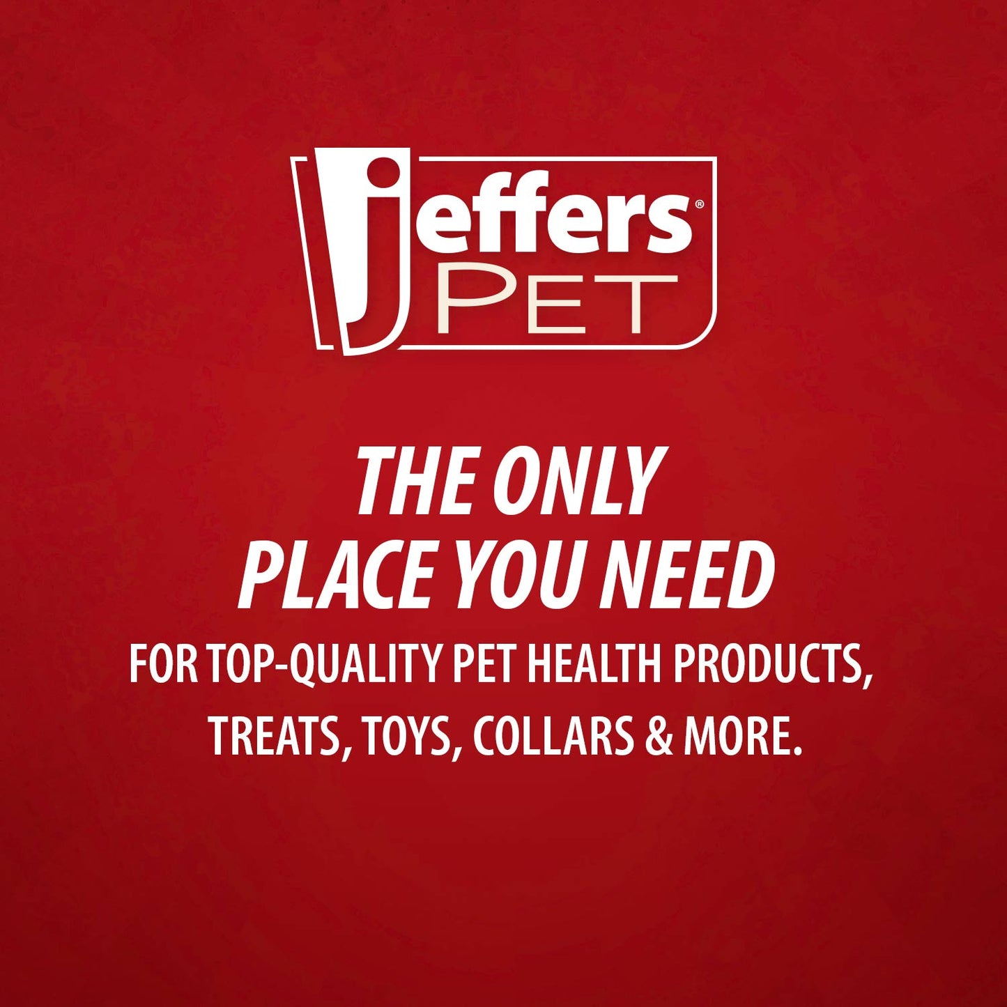 Jeffers Pet Nail File for Dog and Cat Nail Grooming, 7"L